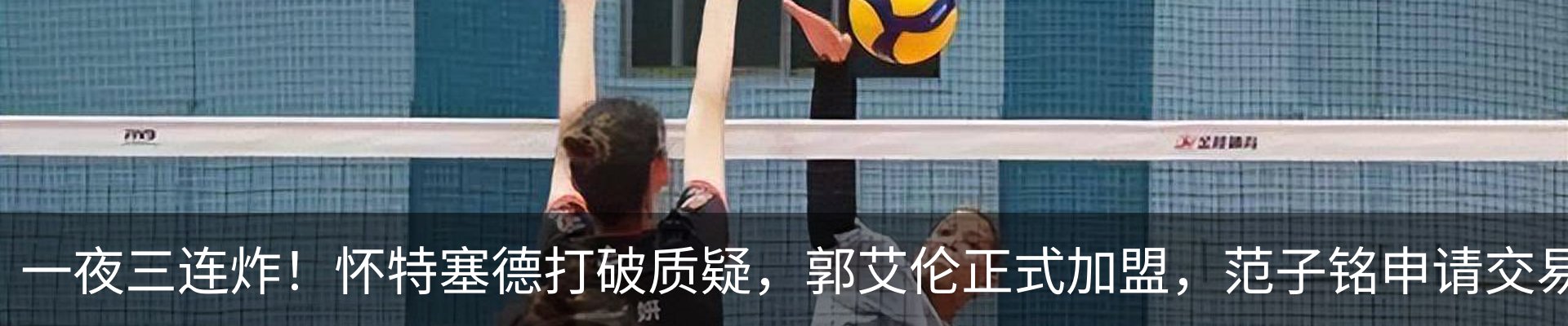 新闻动态