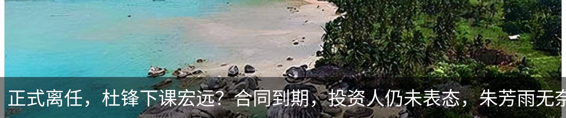 新闻动态