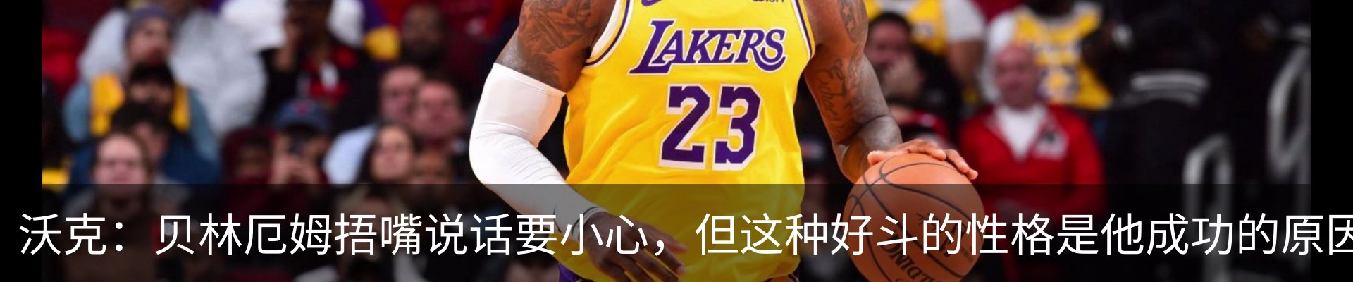 新闻动态