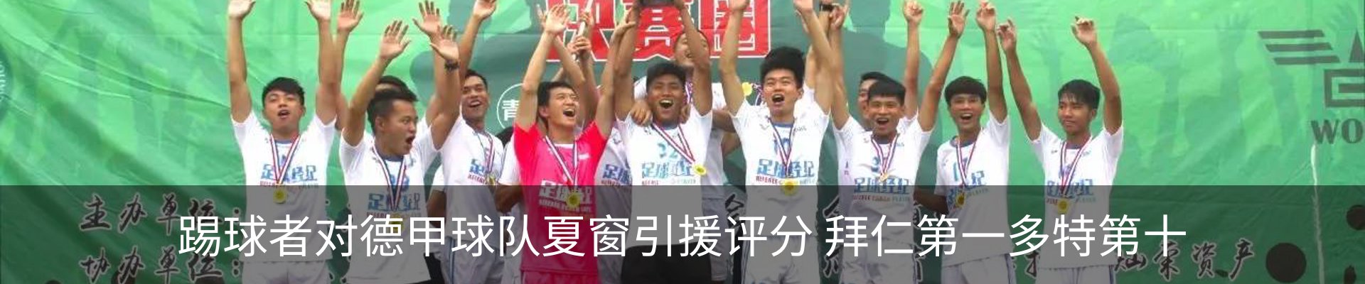 新闻动态