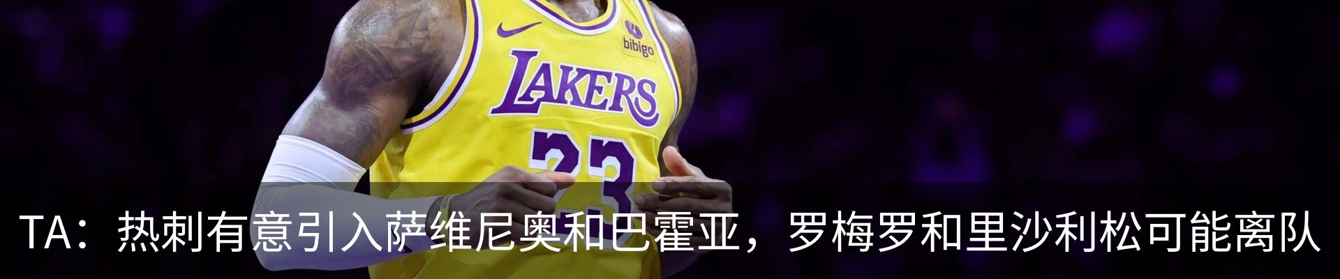 新闻动态